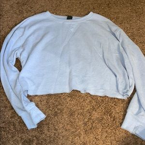 Cropped Light Blue Wild Fable Sweater